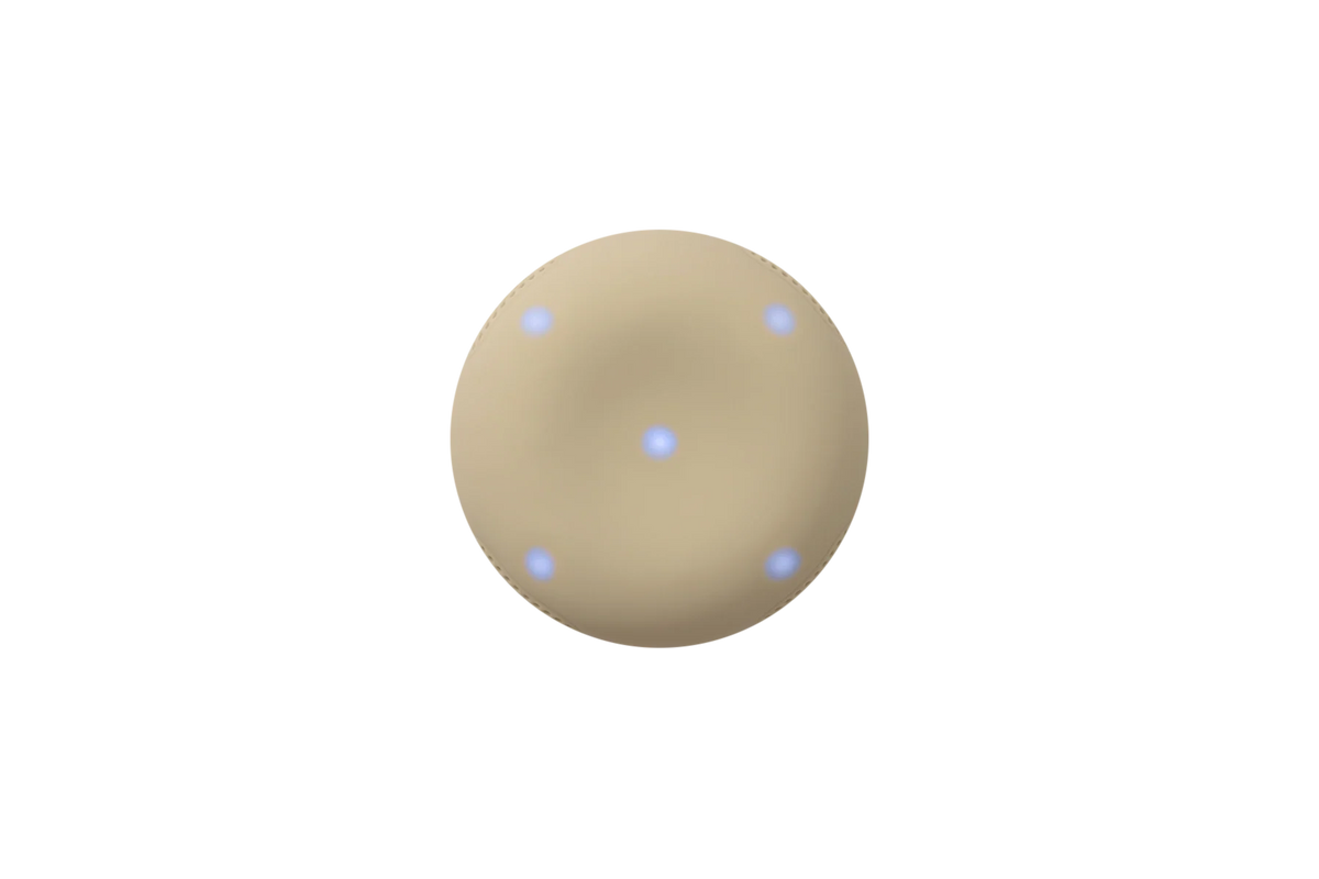 Stem2