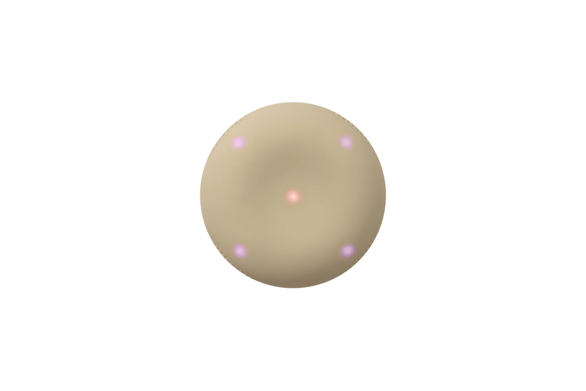 Stem2