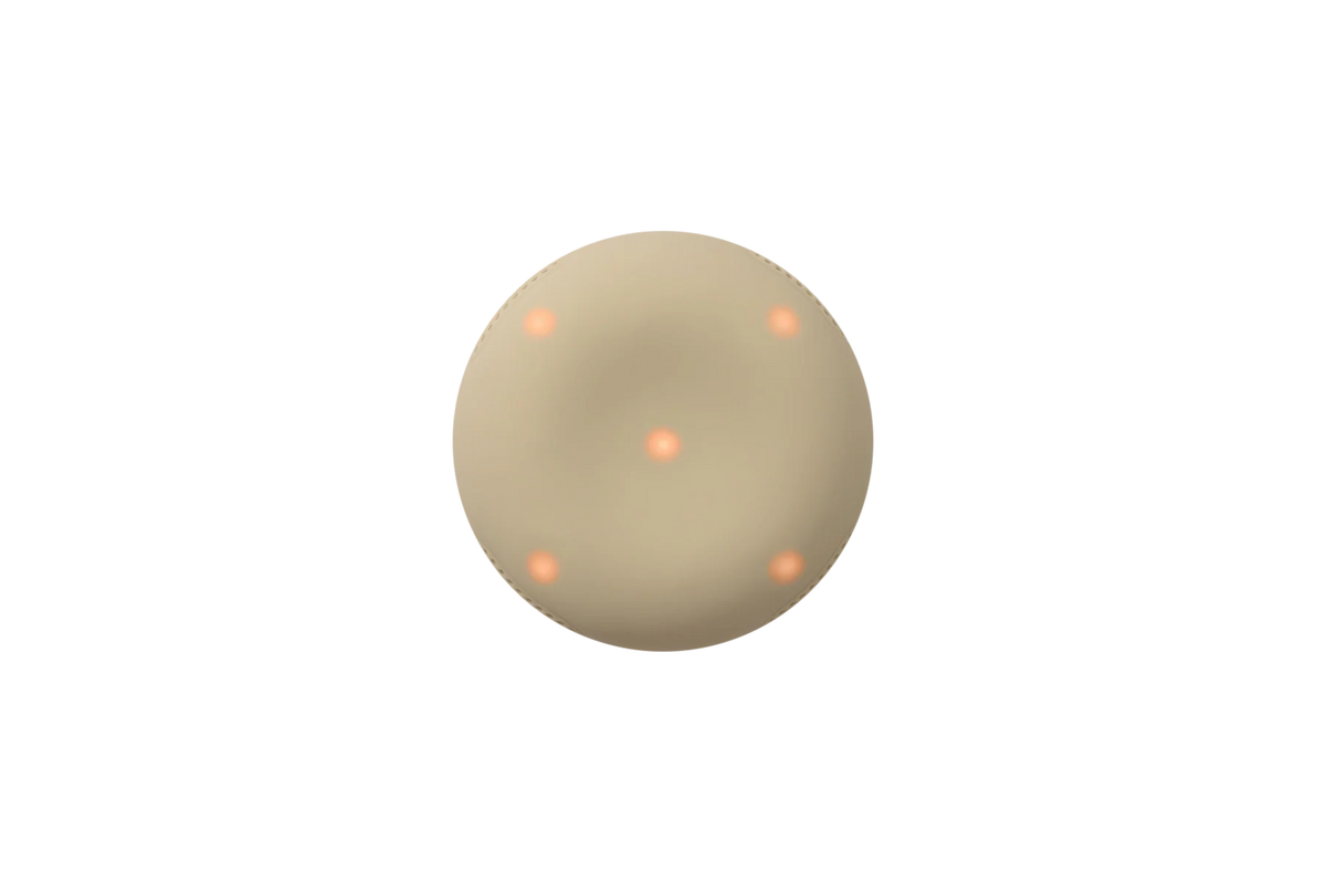 Stem2